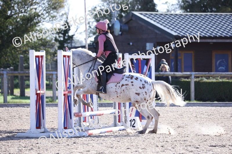 20251005-0119 - Class 2 - 50cm