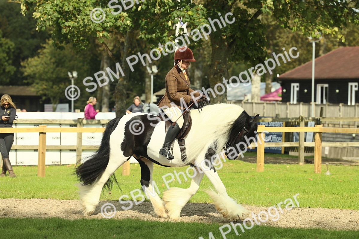 SBM_68784 - S58 - Mini Show Cob Ridden