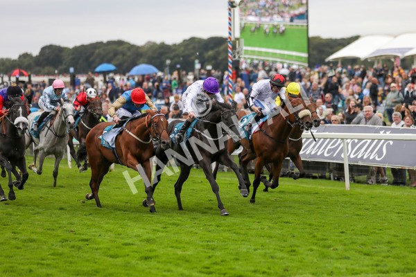210824-Race 7-Yes Im Mali-7489 - Race 7 5.20pm Sky Bet Nursery Handicap