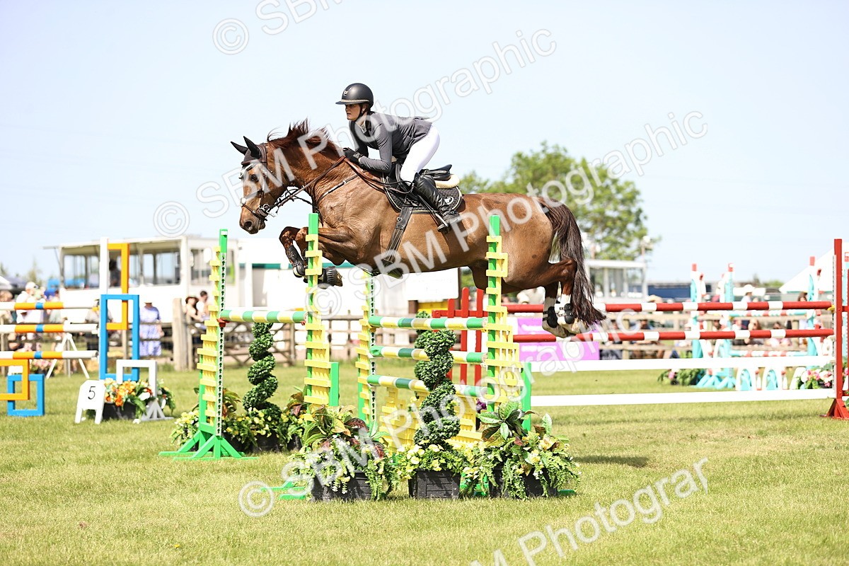 SBM_03185 - Class 201 - British Horse Feedds Speedi Beet HOYS Grade C