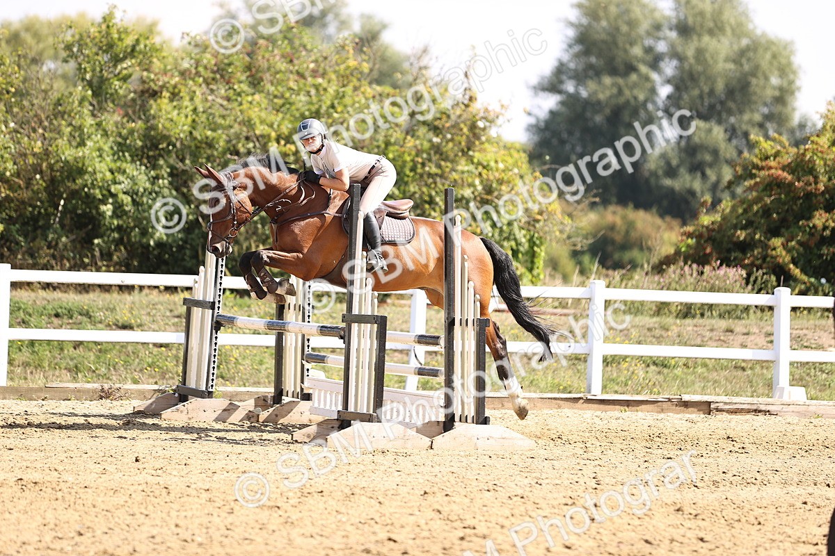 SBM_005861 - Class 9 - Senior British Novice - 90cm