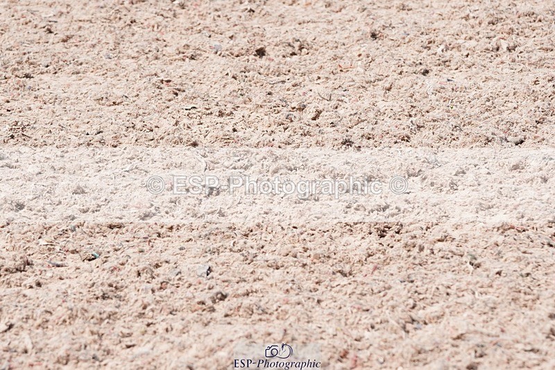 250503-132946-01141 - Cls 27 Stepping Stones