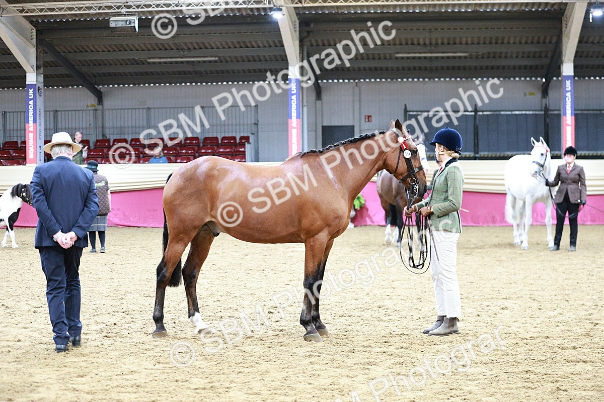 SBM_01190 - Class 3A - Area IH Pre-Vet