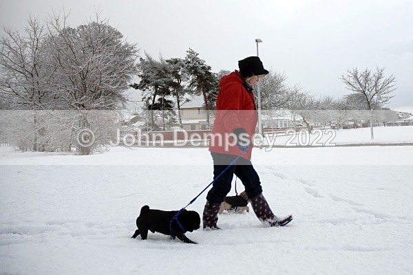 December Snow 11 - Walking the Dog