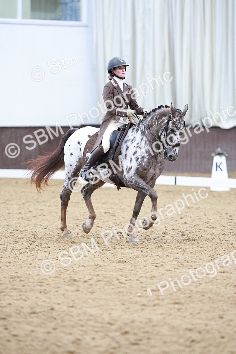 SBM_021403 - Class 14 - FEI Grand Prix - 17.40-18.34