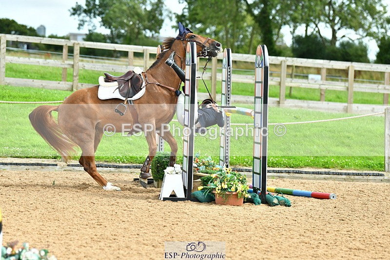 230728A-141128-02807 - Cls 3 Foxhunter