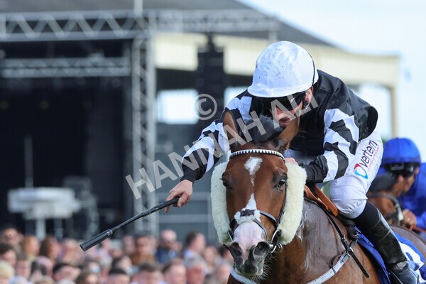 yr21052022r6-25 - Race 6: 4:42pm Yorkshire Regiment Stakes