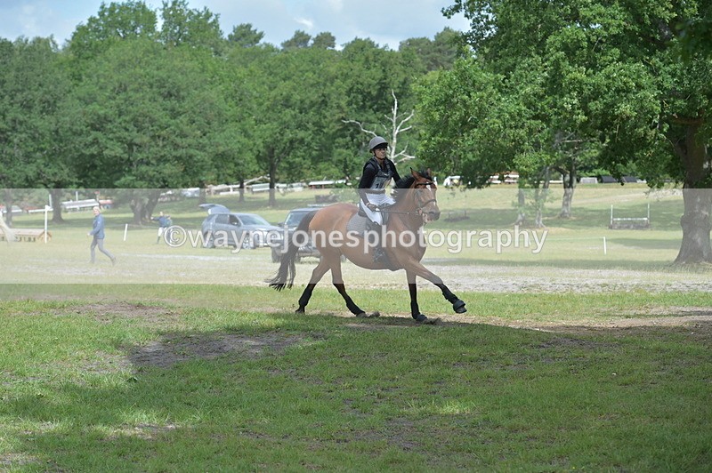 NGP_7317 - Time 11:10 to 11:18