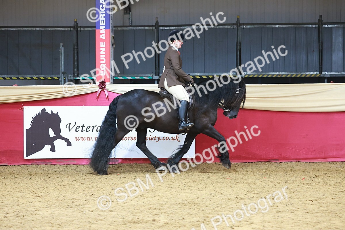 SBM_10511 - Class 103 - HOYS Veteran Qualifier - Ridden Pre Vet