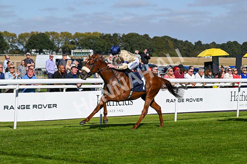 180924-Race 2-American Style-3968 - Race 2