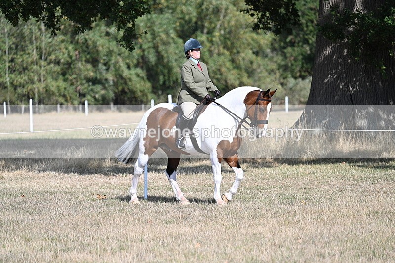 WJ7_2670 - Class 8 Ridden Tack & Turnout