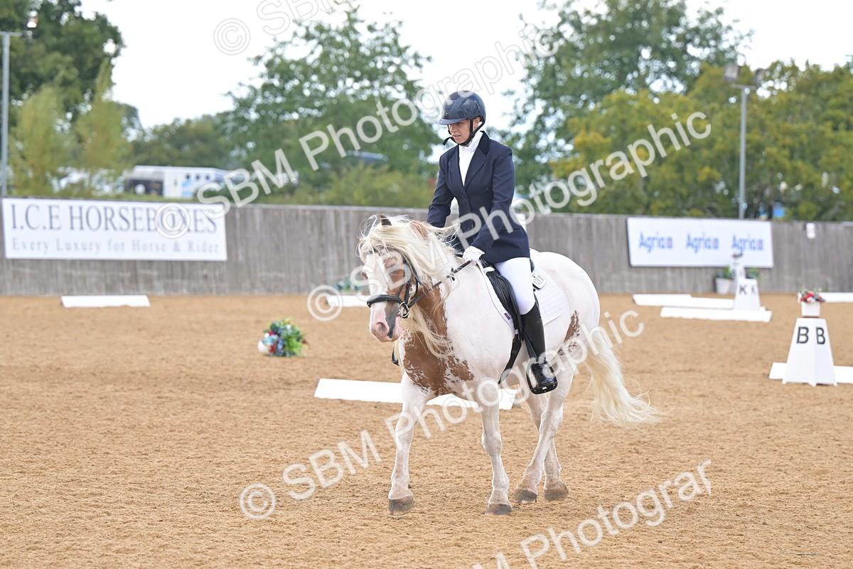 SBM_11203 - D3 - Small Tour Championship Intro 3