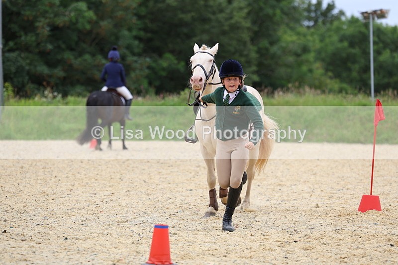 3E7A9323 - Walk trot run