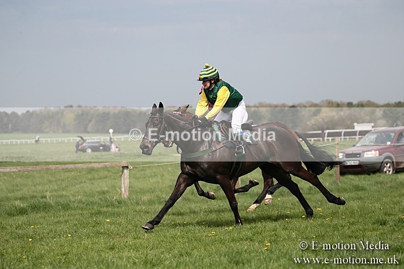 PtP 210418 36 - South & West Wilts Point-to-Point Larkhill 21/04/18