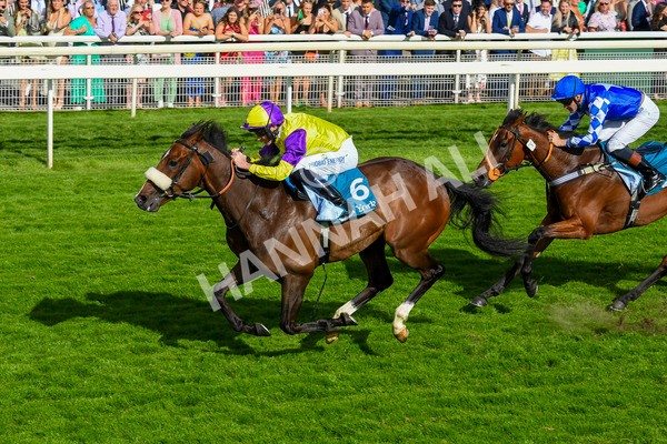 290723-Race 6-Dark Moon Rising-0958 - Race 6 5.10pm Betting Better With Sky Bet Handicap