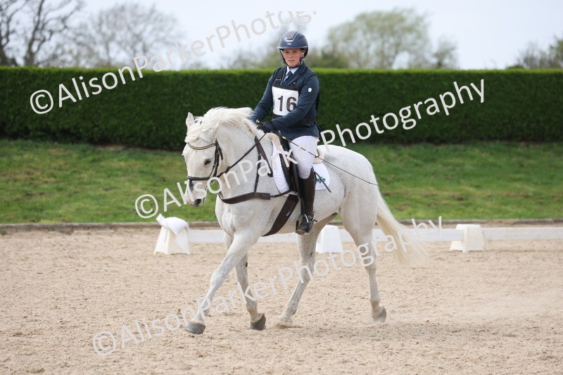 20260404-0808 - Class 5 - Novice 2