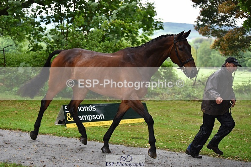 240522-153612-00468 - 379-TREBIFFIN-Neil_Fox