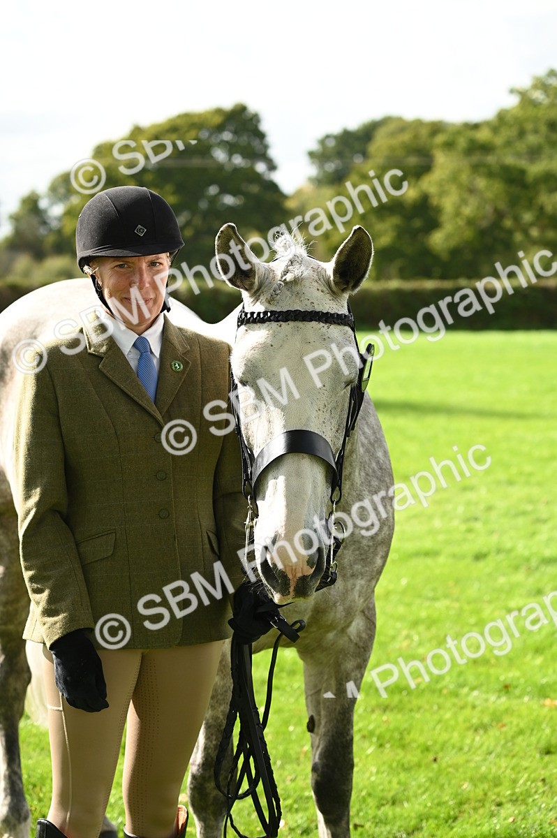 SBM_25047 - S5 - Novice & Newcomer In hand