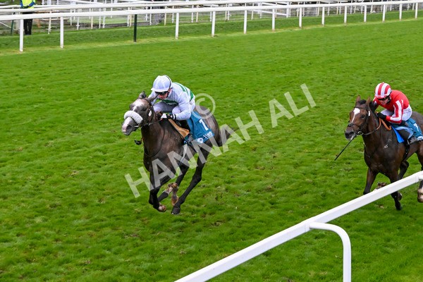 121024-Race 5-Almeric-3286 - Race 5 3.55pm Coral Racing Club EBF Maiden Stakes