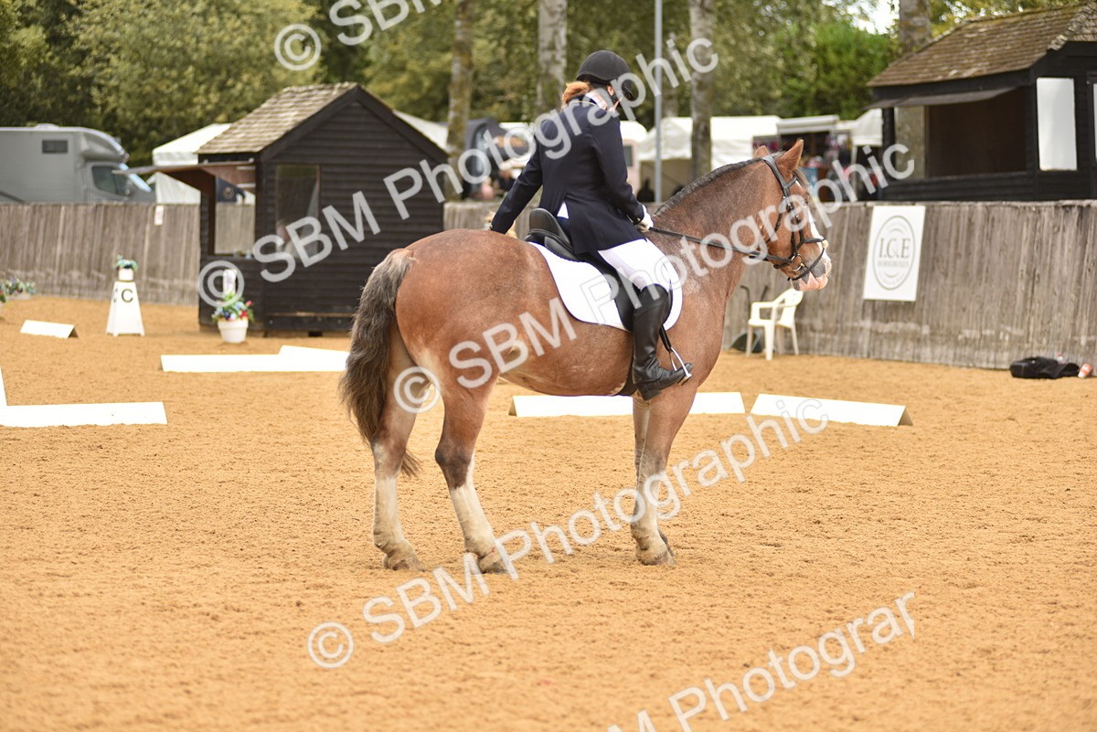 SBM_19882 - D4 - Small Tour Championship Intro 4