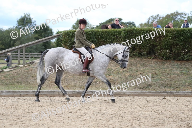 20260831-2716 - Class 16 and 17- Ridden Cob and Hunters