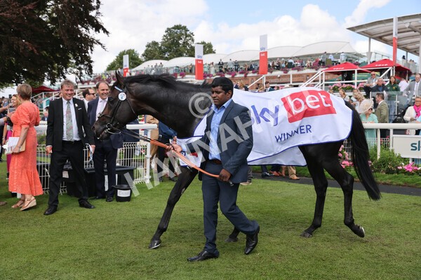 yr20082022r1-51 - Race 1 1.50pm Sky Bet & Symphony Group Strensall Stakes