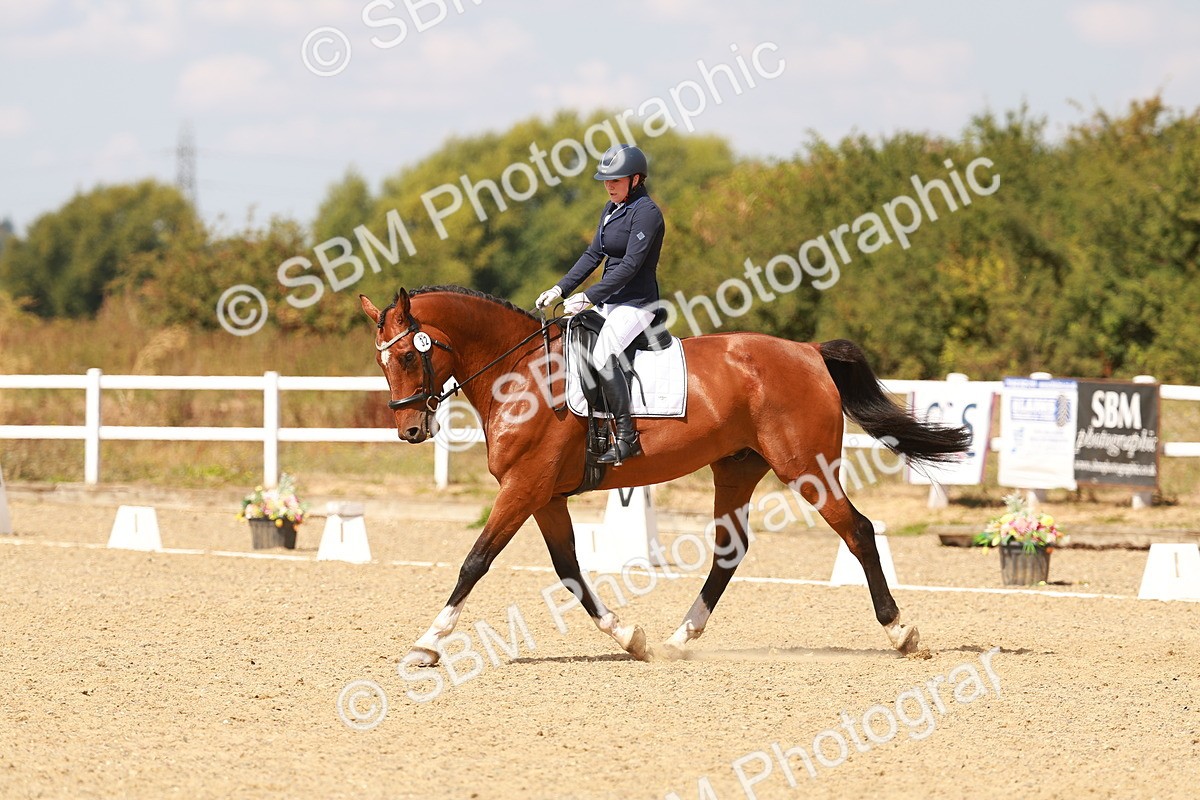 SBM_018569