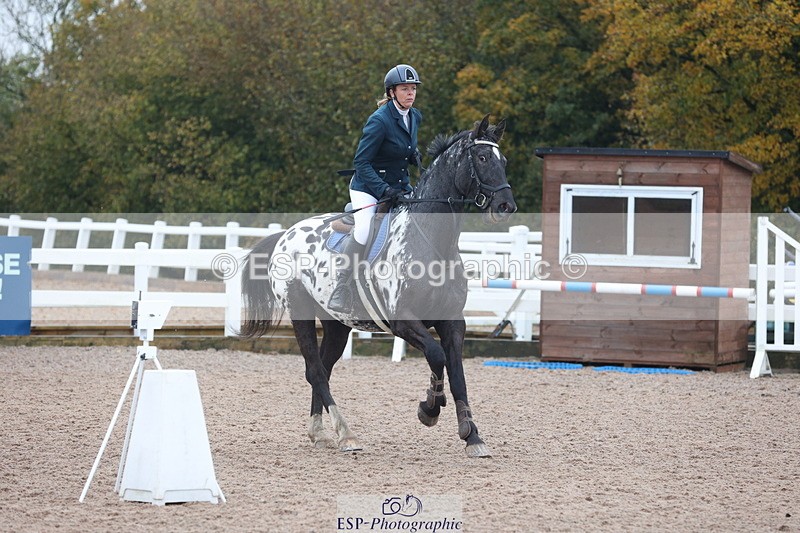 231112A-095457-03114 - Cls 17 Blue Chip Novice Winter Qualifier