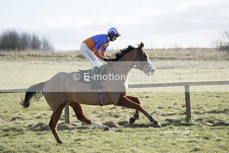 PtP 260223 1112 - South & West Wilts Point-to-Point Larkhill 26/02/23