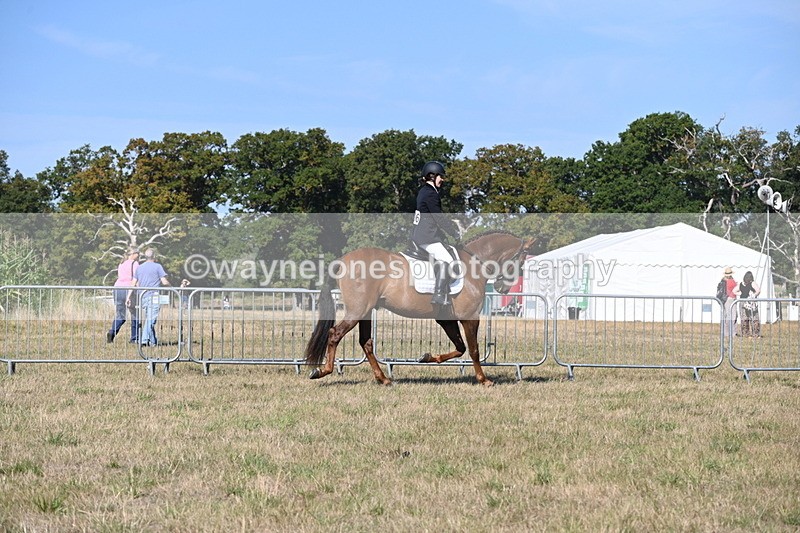 WJ6_7214 - Class 33 Rescue Pony