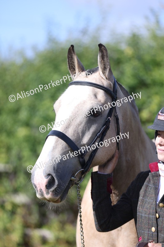 20250831-1432 - Class 21 - Inhand Open