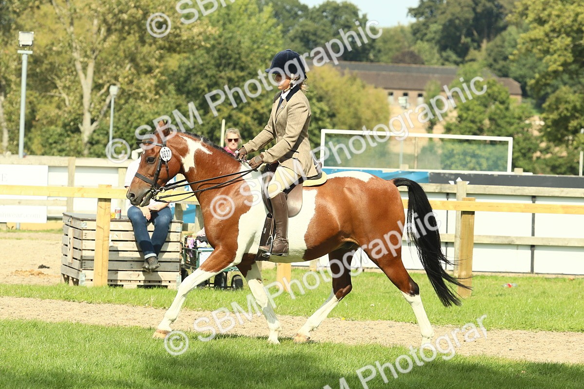 SBM_67512 - S56 - Coloured Pony Ridden