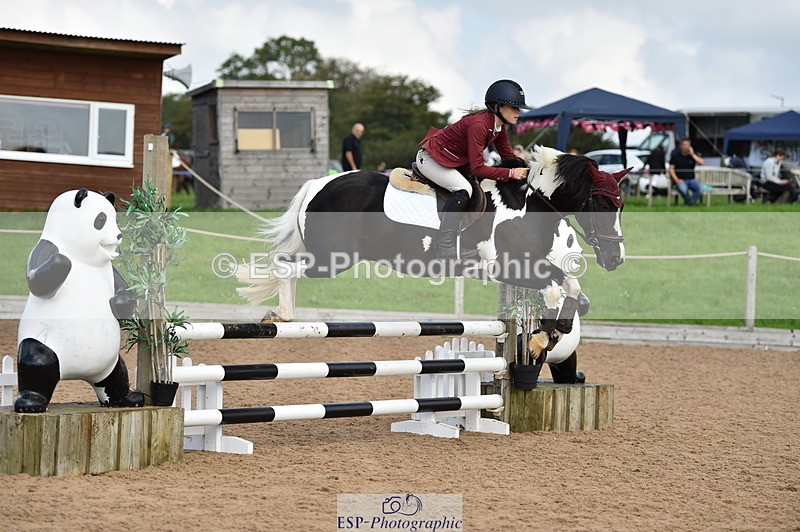 230902A-123912-01171 - Cls 3A Pony Medium 80cm