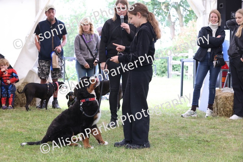 20250607-0261 - Class 6 - Child's Best Friend