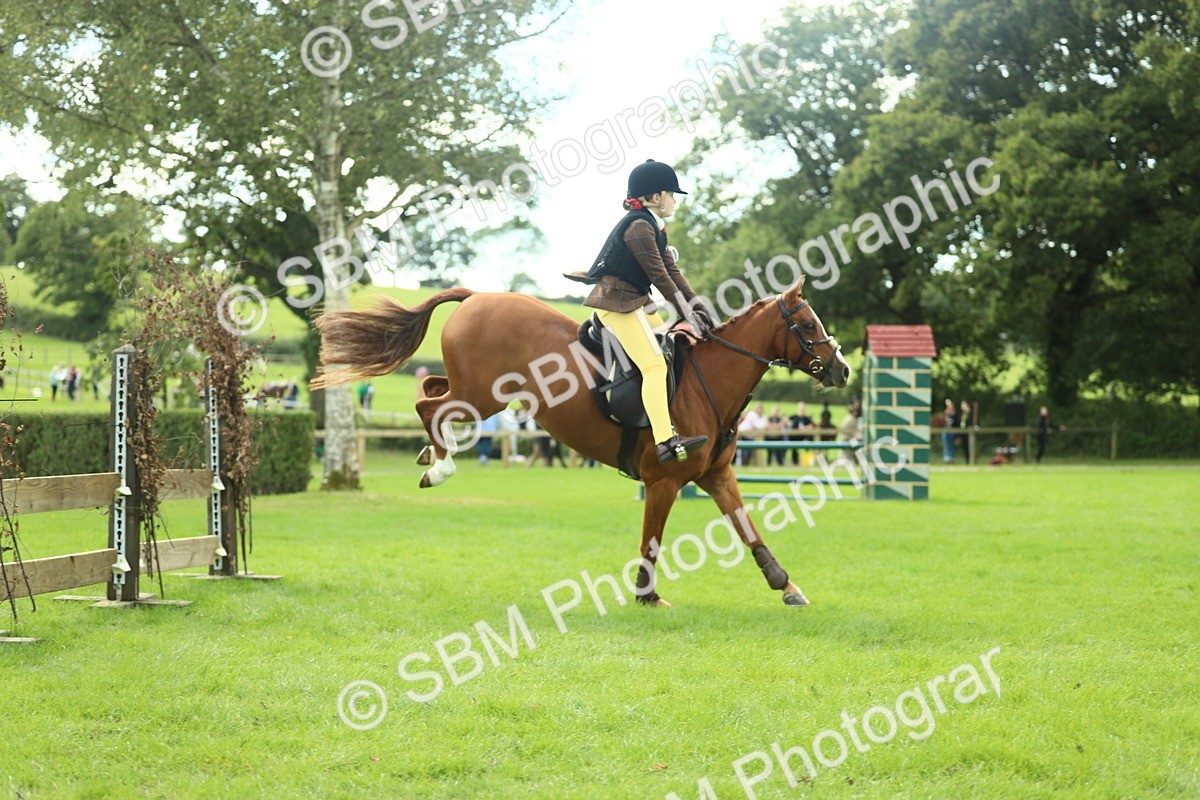 SBM_44639 - S31 - Working Hunter Pony