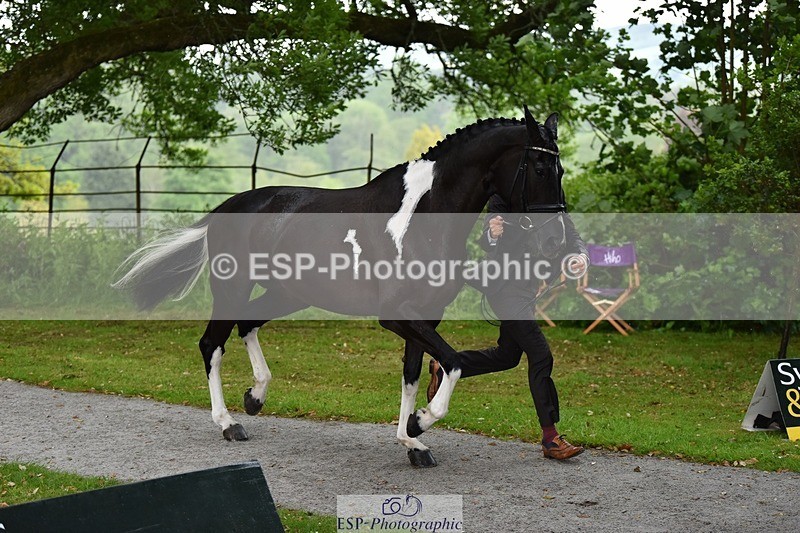 240522-151408-00190 - 377-HONEYBROOK_EXTRA_SPECIAL-Tom_Rowland