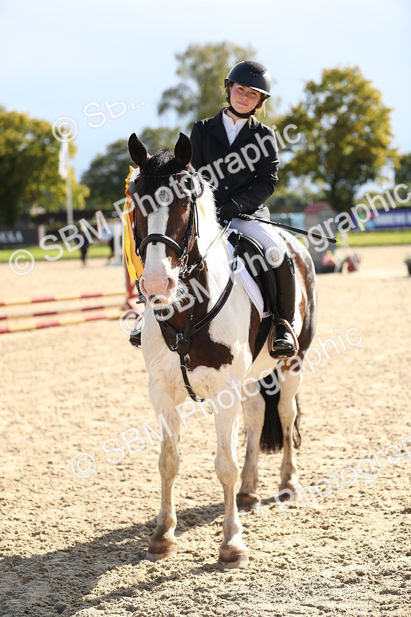 SBM_37367 - J20 - Junior Horse 50cm Championship