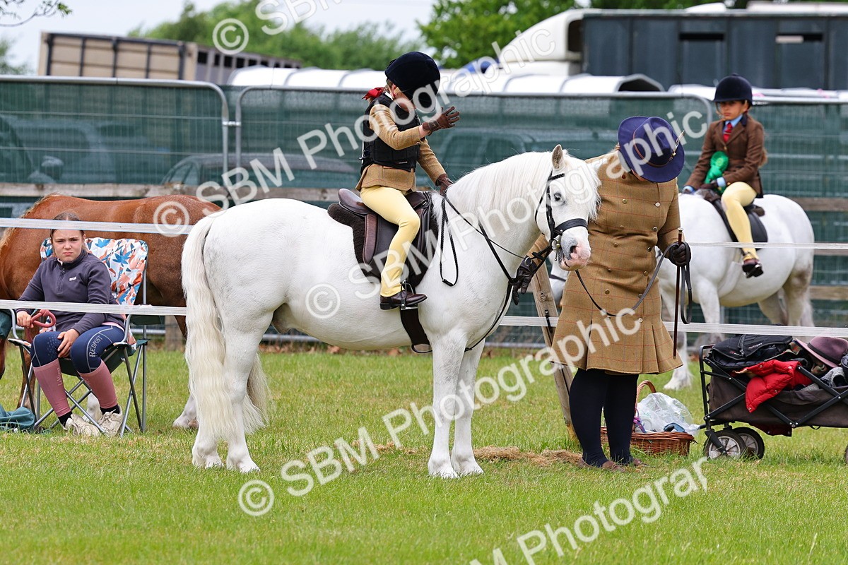 SBM_08197 - Class 42-43 - LIHS BSPS Heritage Working Sports Pony