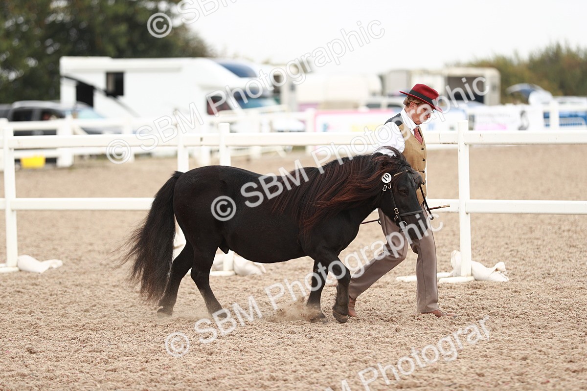 SBM_12400 - Class 207 IH M&M