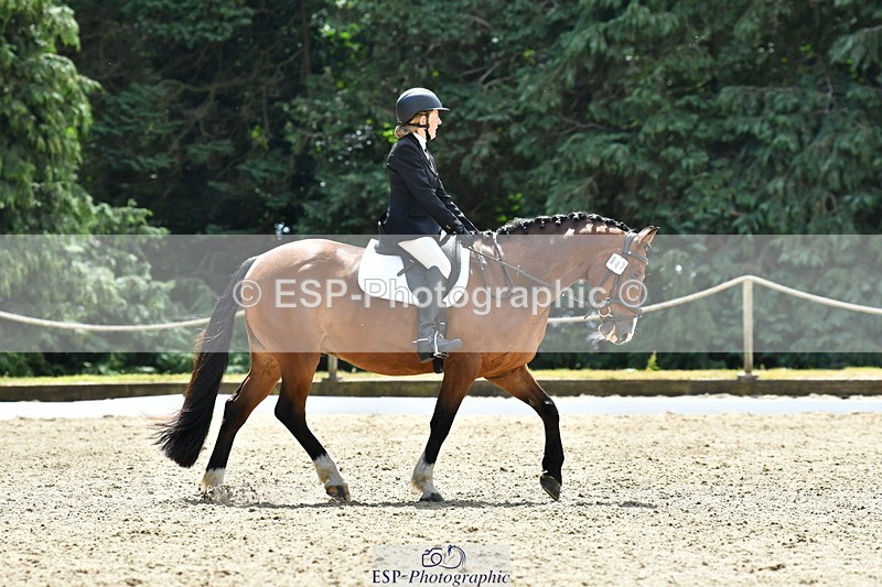 260801A-124533-04045 - Prelim Bronze Break - End