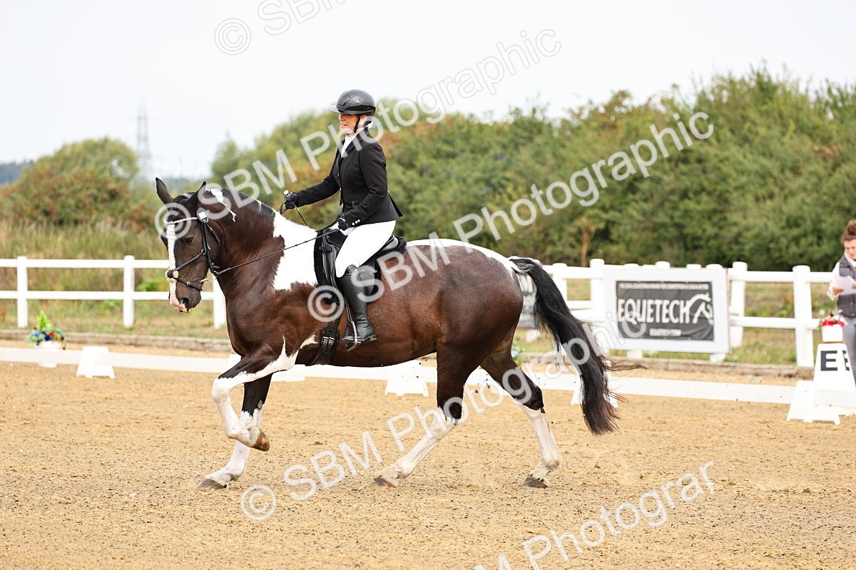 SBM_011410 - Class 1 - Prelim 4