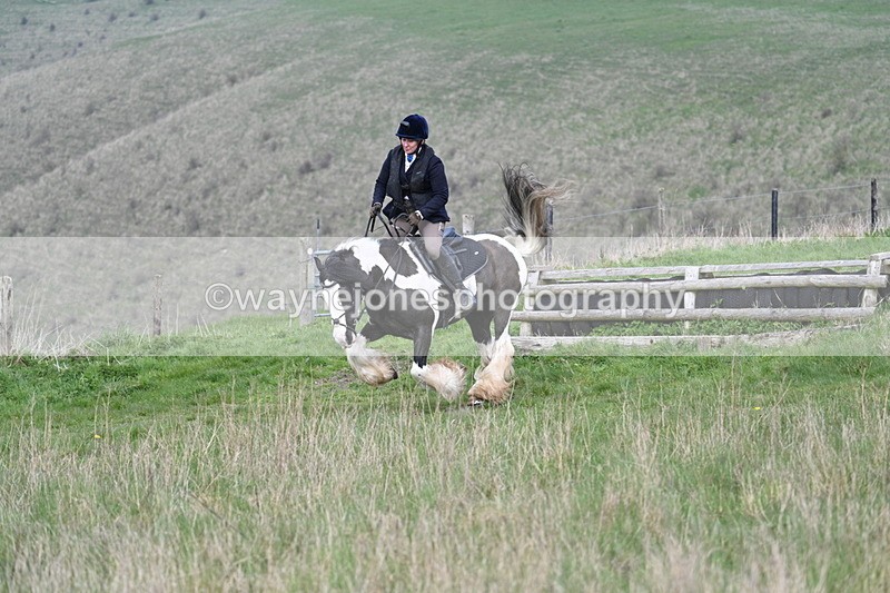 WJ7_8196 - Line 2 A camera