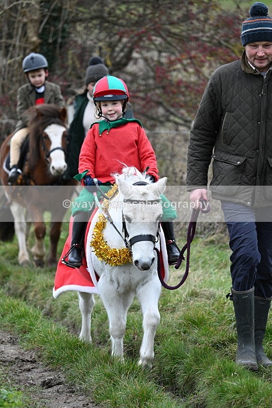 WJ7_0962 - First Seen