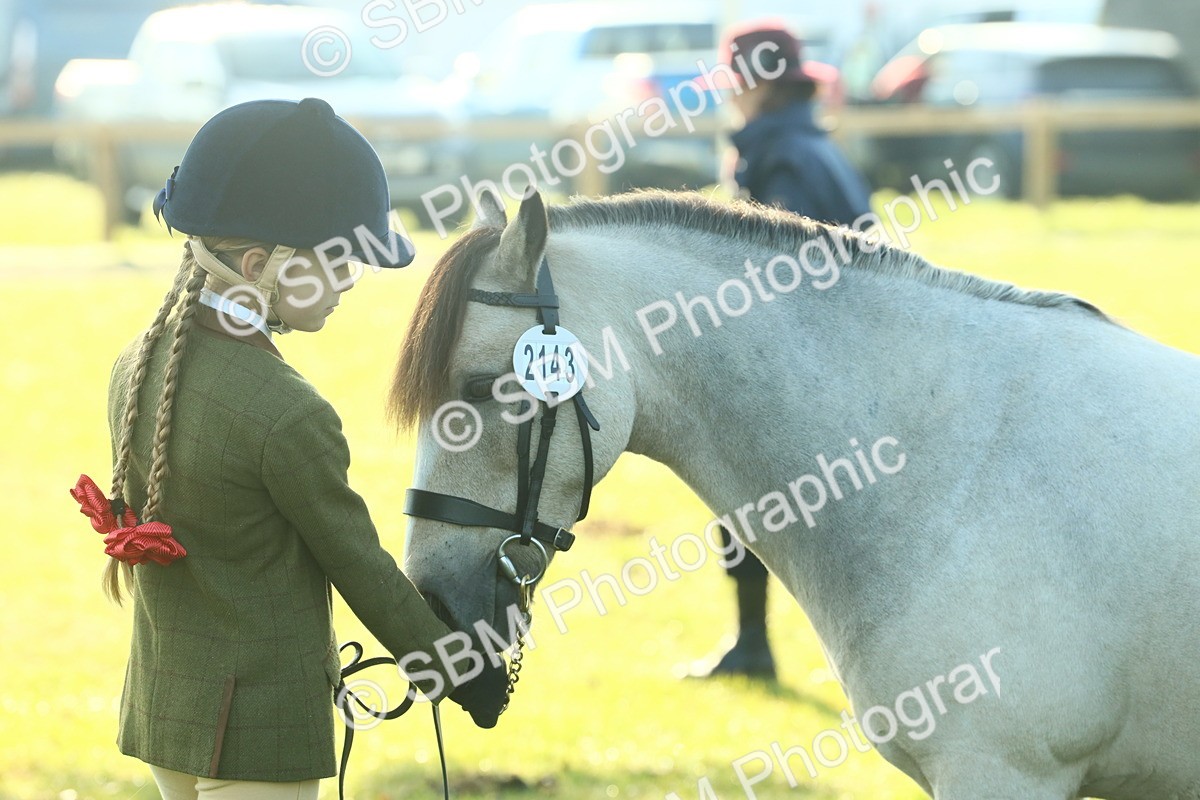 SBM_57478 - S37 - Starters In Hand Showing