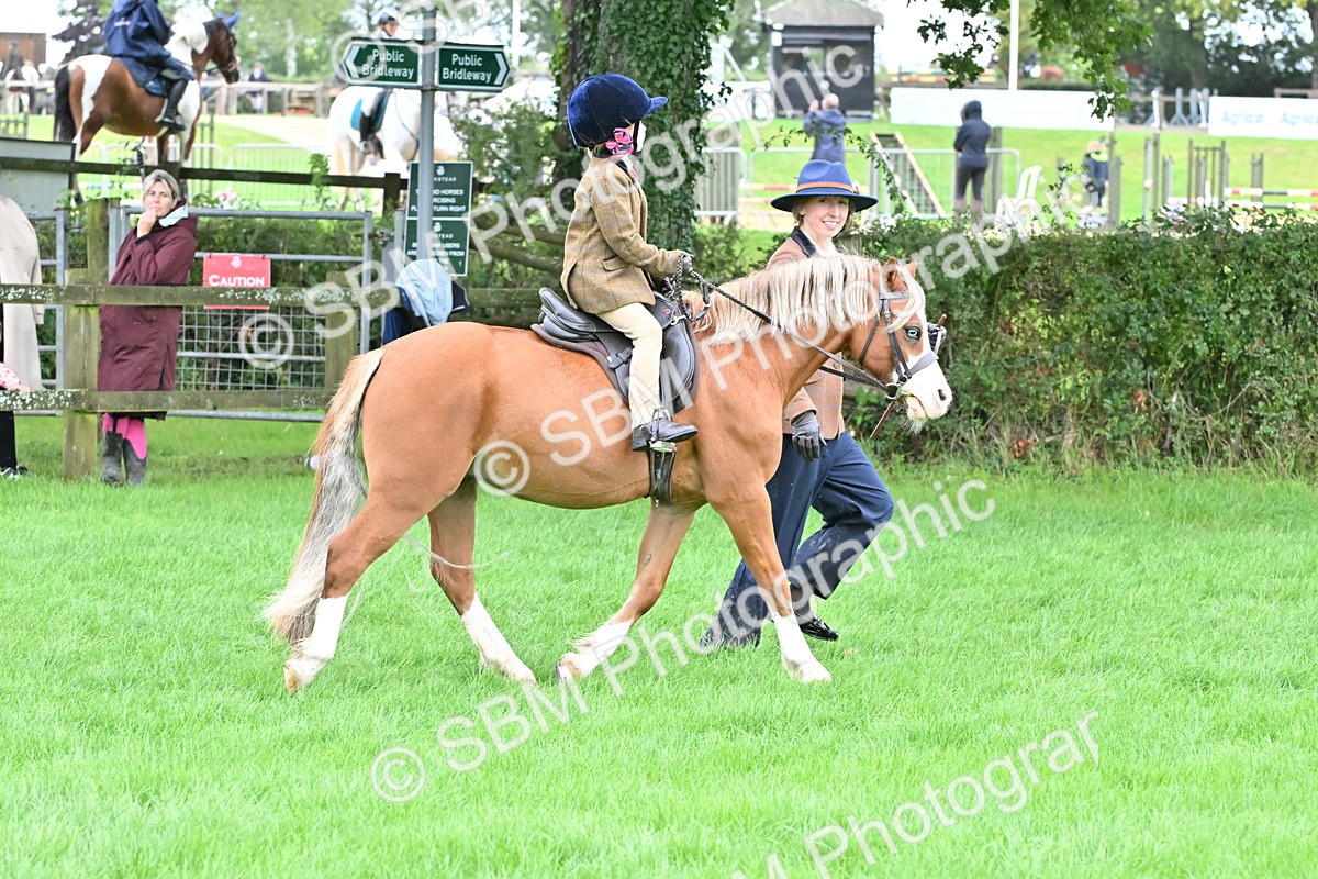 SBM_40116 - S20 - Lead Rein Mountain & Moorland Pony