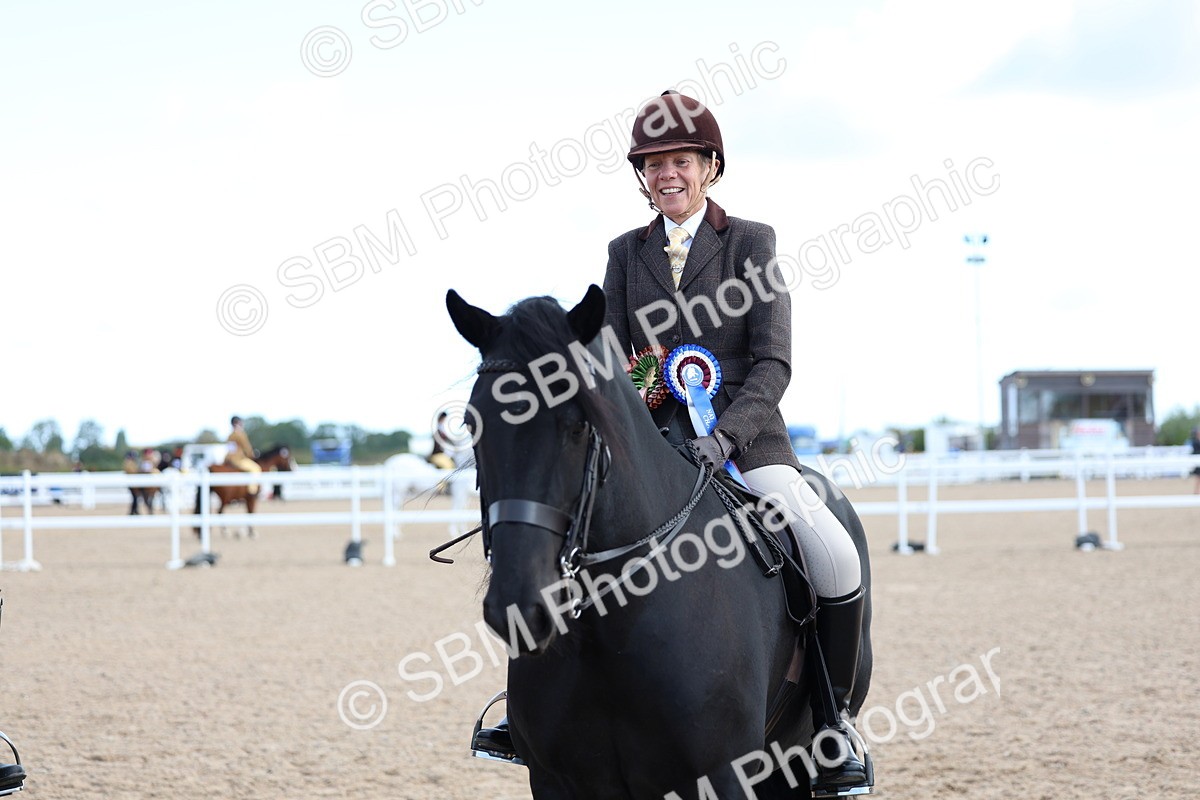 SBM_08969 - Class 302 - Ridden M&M - Large Breeds