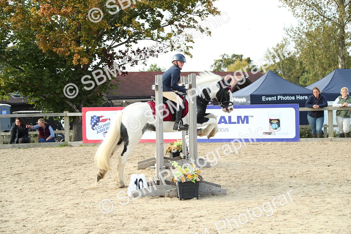 SBM_53542 - J8 - Junior Pony 65cm Championship