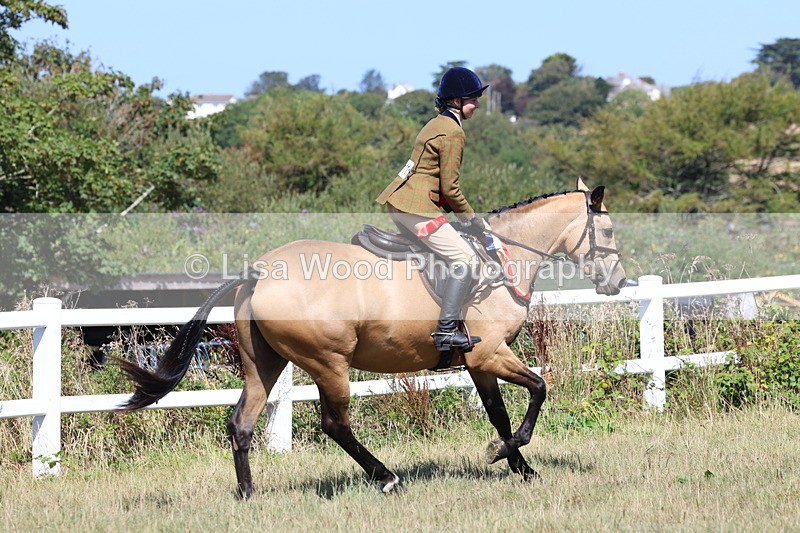 3E7A6499 - Working Hunter Championship