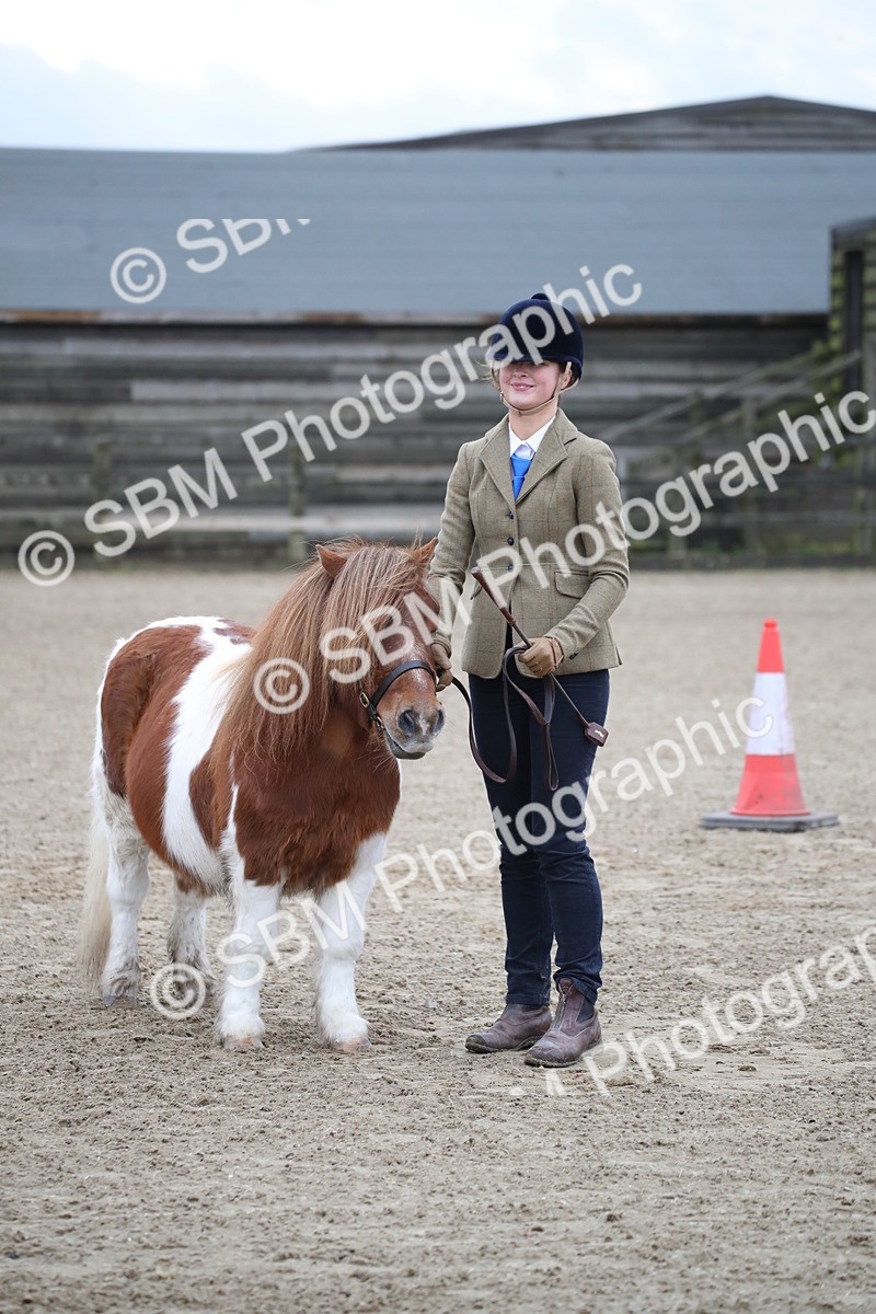 SBM_003942 - Class 1-4 - Young Stock classes Inc. In Hand Championship