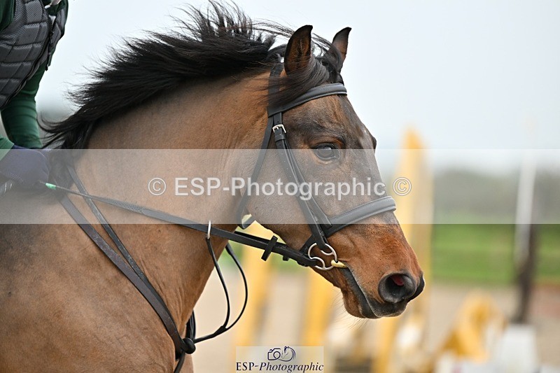 241110-114630-00517 - 50-55cm Arena Eventing